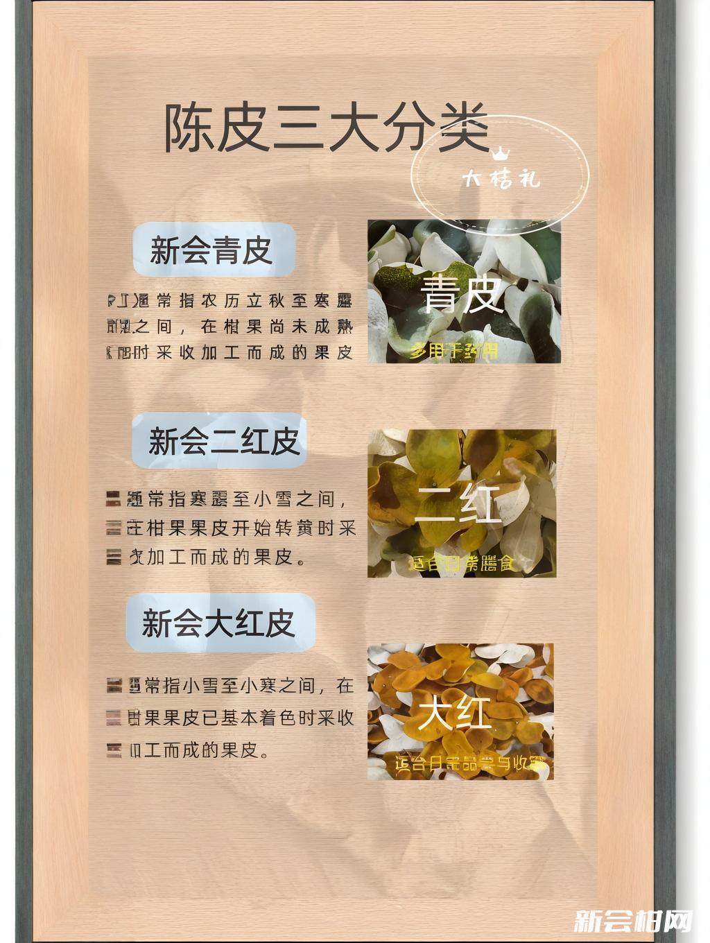 新会柑几月份成熟？新会柑不同采摘时期的分别。