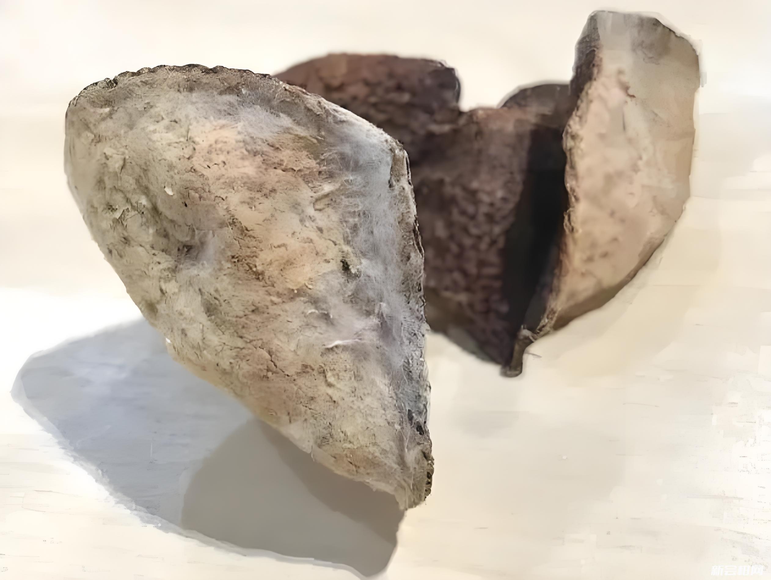 新会陈皮的真伪与霉变鉴别指南