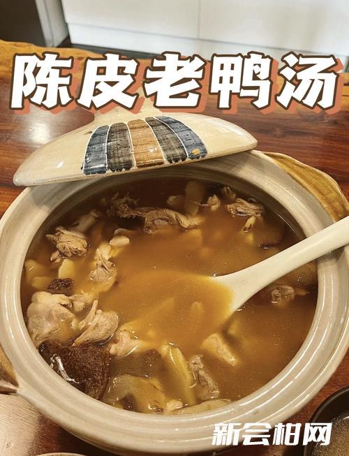 新会陈皮冬瓜老鸭汤 做法与功效