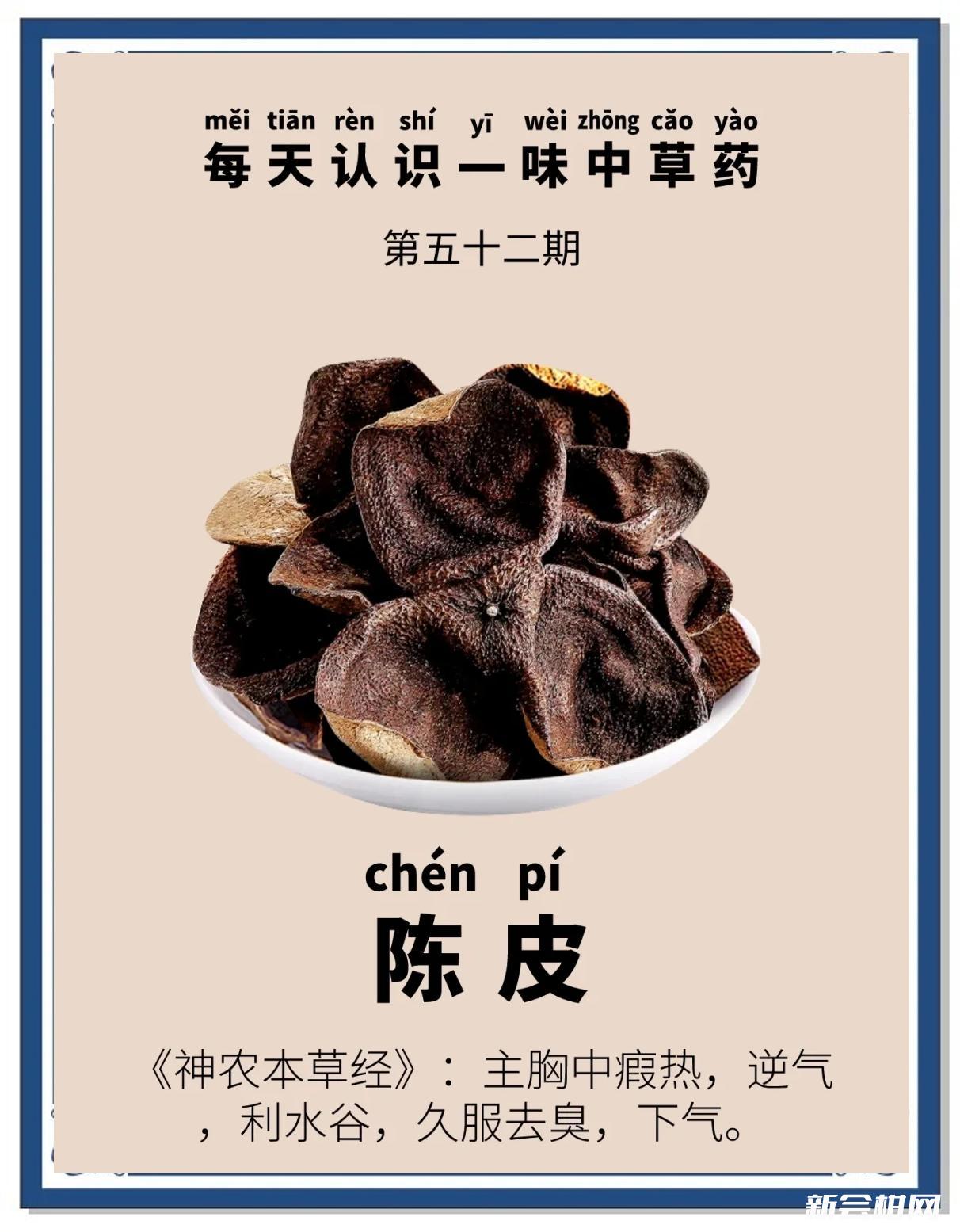 闻香识陈皮研学游策划方案 闻香识陈皮研学游策划方案