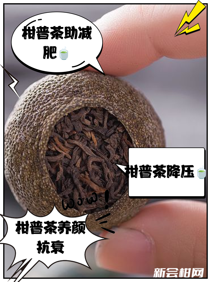 你必须要知道的新会柑普茶发展史